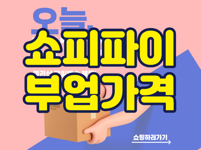 쇼피파이 부업과 가격 현실