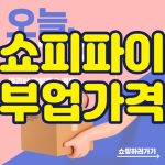 쇼피파이 부업과 가격 현실